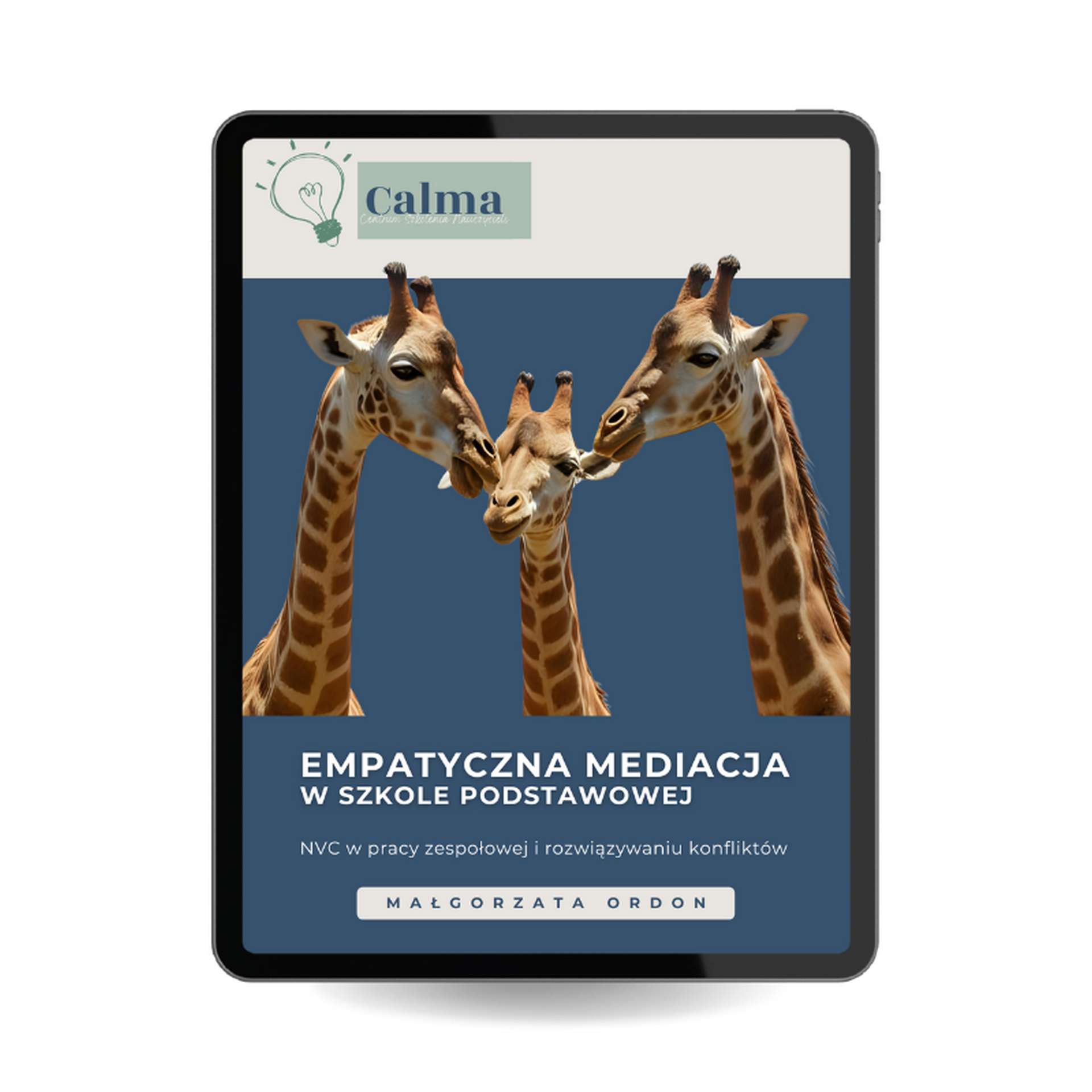 Empatyczna mediacja w szkole podstawowej